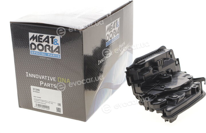 Meat & Doria 31246