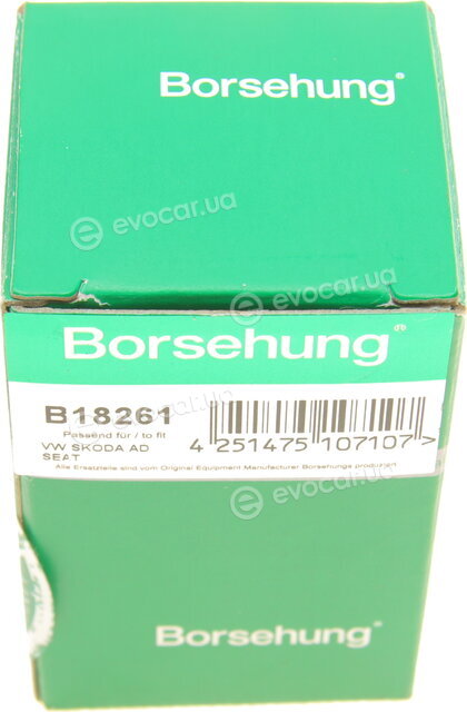 Borsehung B18261