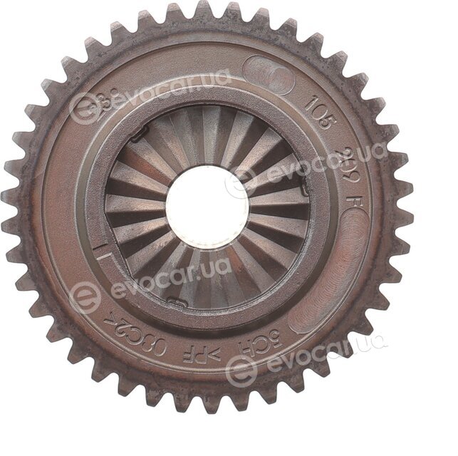 Borsehung B16298
