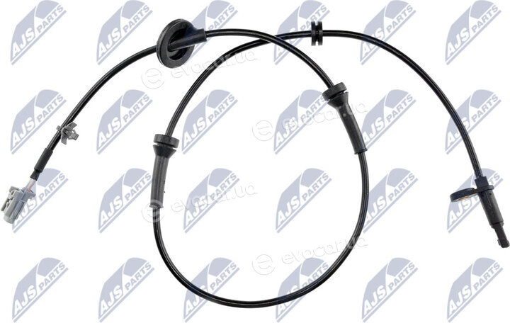 NTY HCA-NS-019