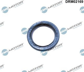 Dr. Motor DRM02169