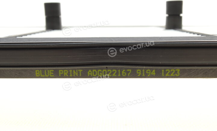 Blue Print ADG022167