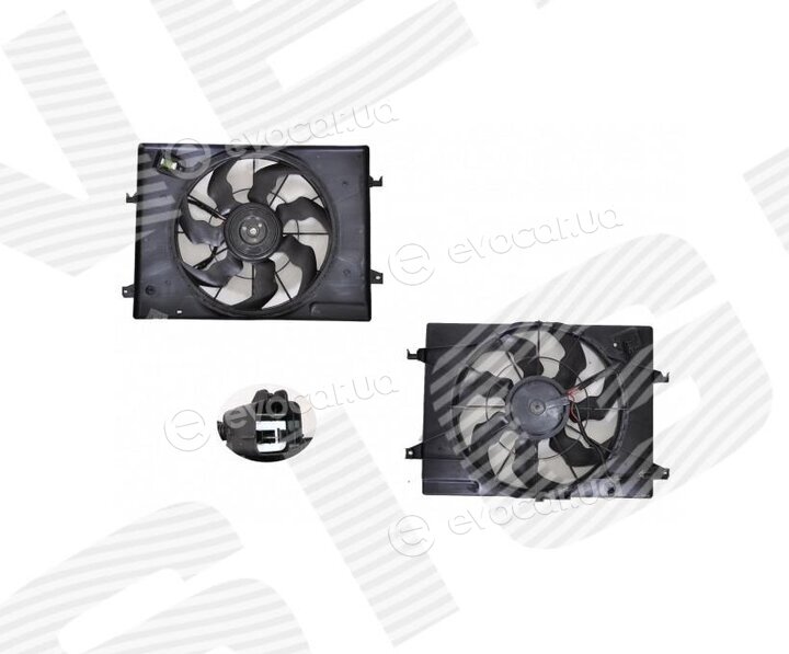 Signeda RDHN500040