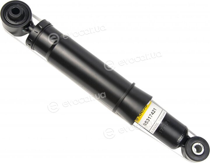 Raiso RS317421