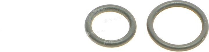 Elring 631.880
