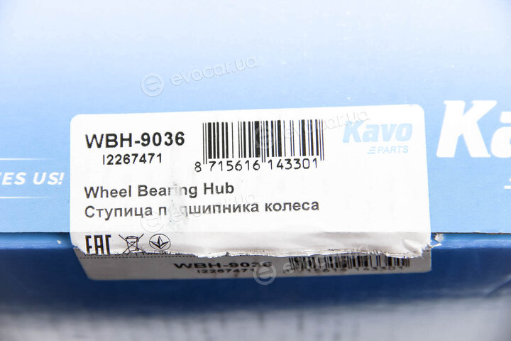 Kavo WBH-9036