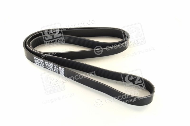 Dayco 7PK1920