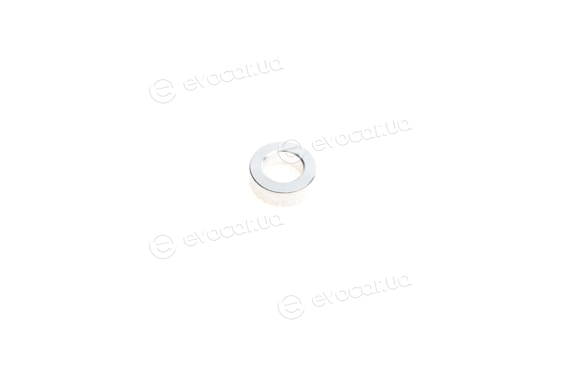 Solgy 113010