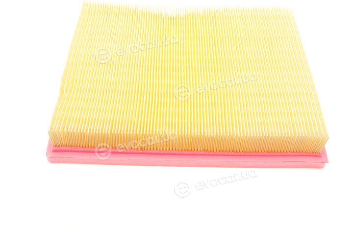 Solgy 103104