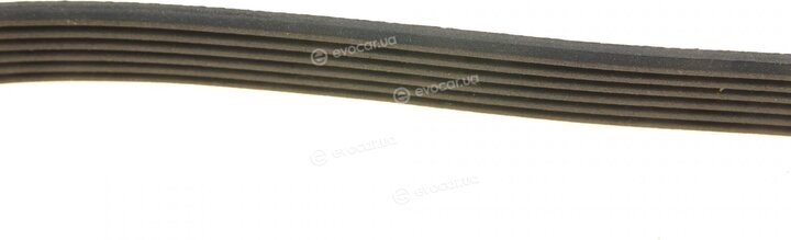 Dayco 6PK2415