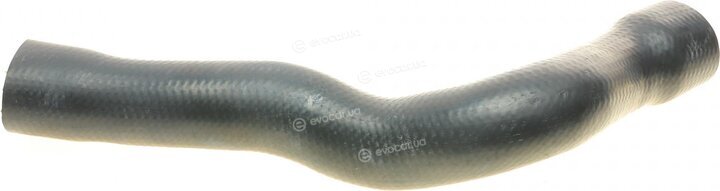 Solgy 114227