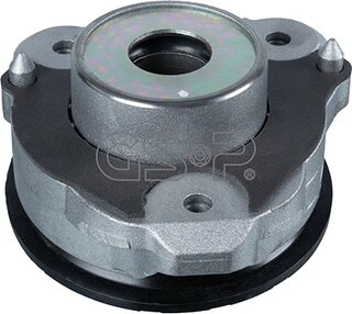 GSP 534074