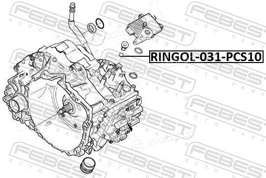 Febest RINGOL-031-PCS10