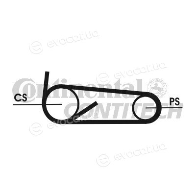 Continental 4PK922 ELAST T1