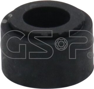 GSP 513256