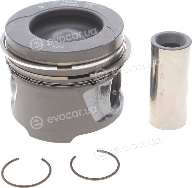 Mahle 021 PI 00123 002