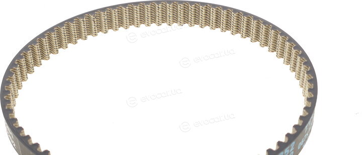 Dayco KTBWP12100