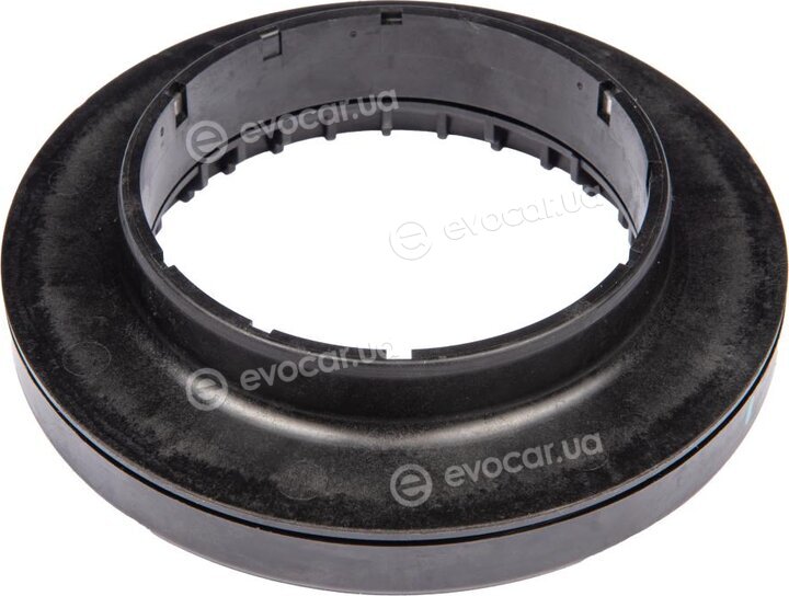 Raiso RC42797
