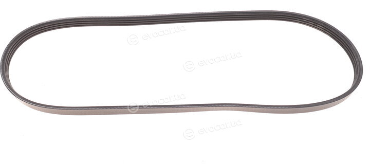 Dayco 4PK905