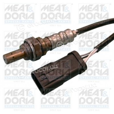 Meat & Doria 81099