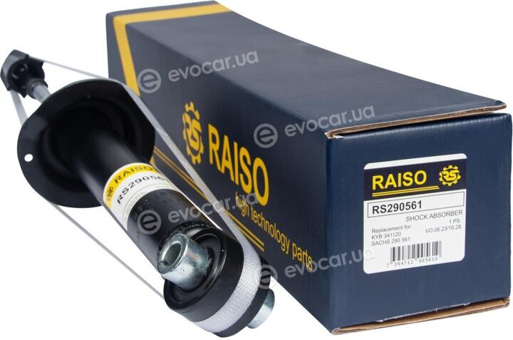 Raiso RS290561