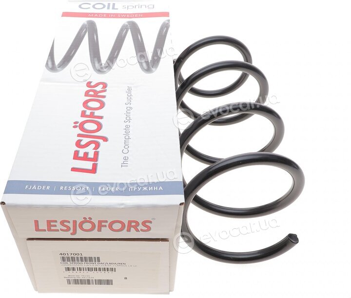 Lesjofors 4017001