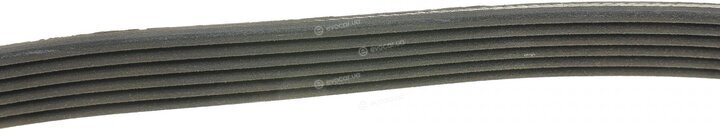 Dayco 6PK780