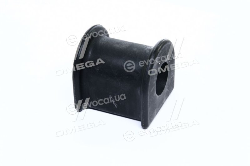 RBI T21C003F