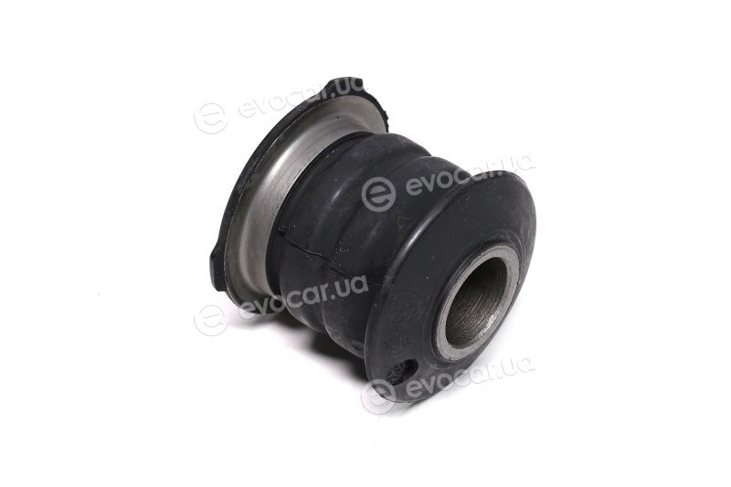 Sasic 2254001