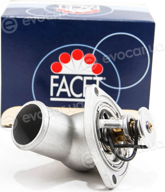 Facet 7.8174