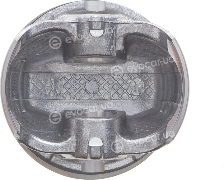 Mahle 028 PI 00118 001