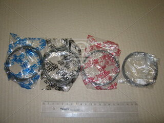 TP 34061.STD