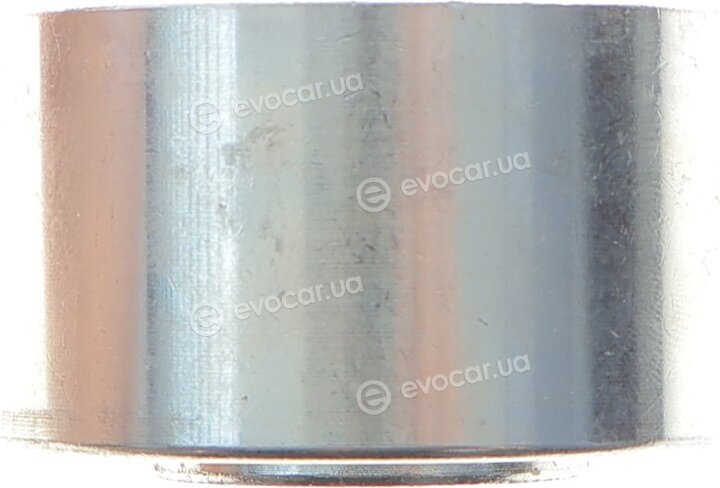Dayco KTBWP4490