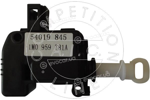 AIC 54019