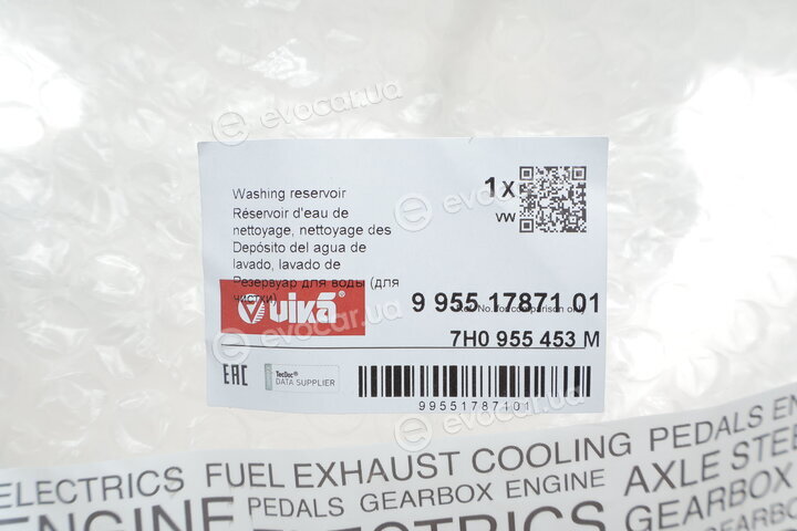 Vika 99551787101