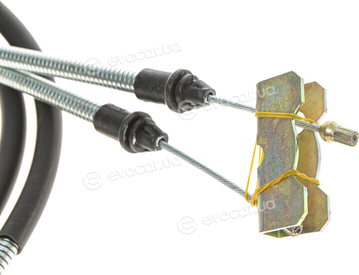DP BC 3021 BNS