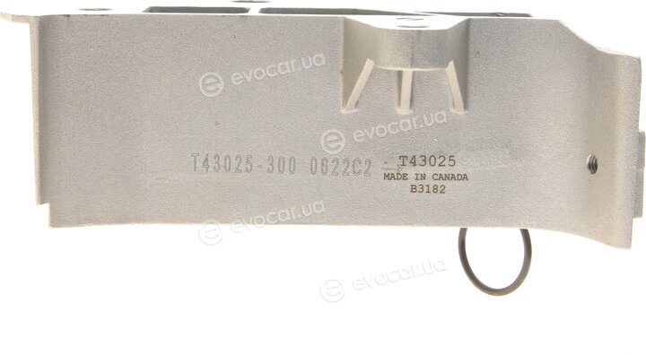 Gates K025491XS