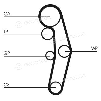 Continental CT1028WP6