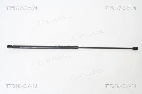 Triscan 8710 29120