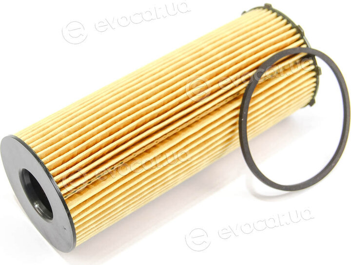 Mahle OX 196/1D