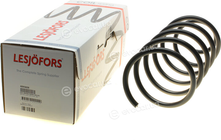 Lesjofors 4095828