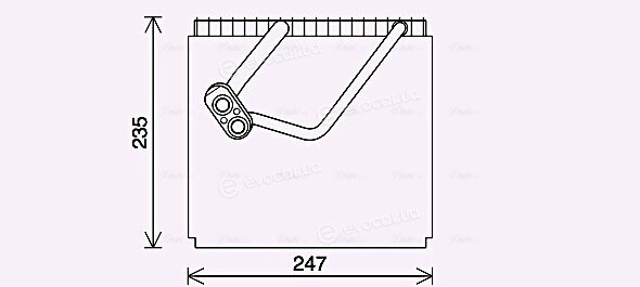 Ava Quality HYV466