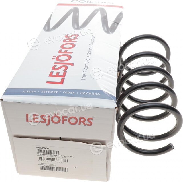 Lesjofors 4017002