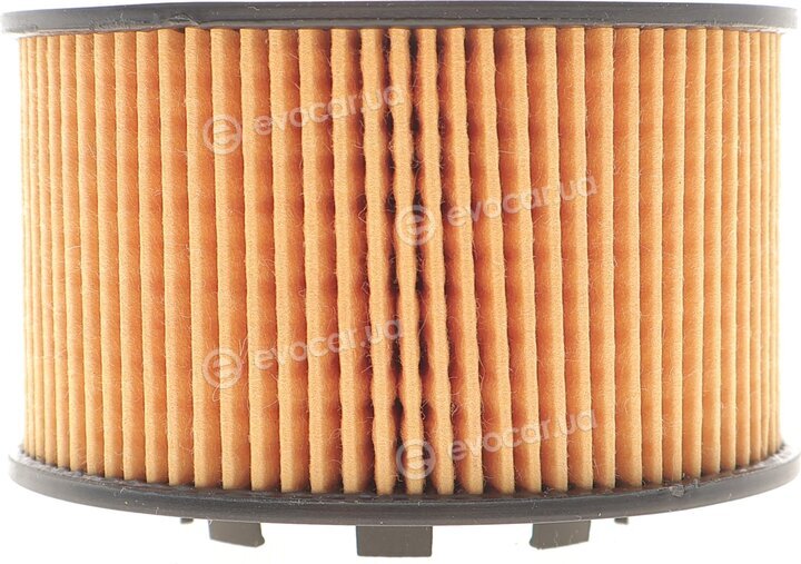 AMC FOF-10171