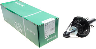 Borsehung B12134