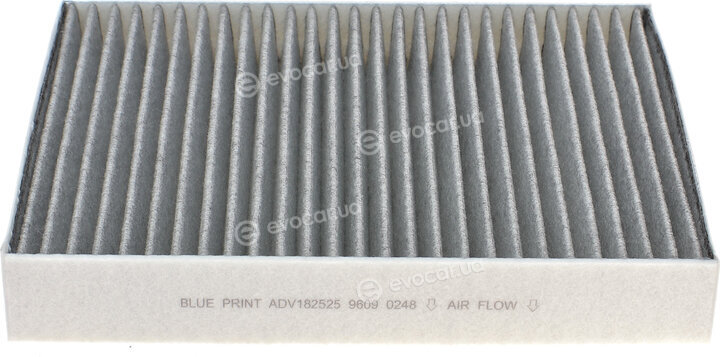 Blue Print ADV182525