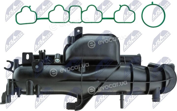 NTY BKS-PL-012