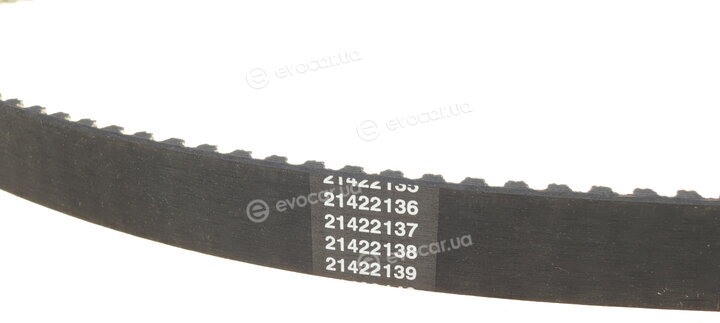Dayco KTB759