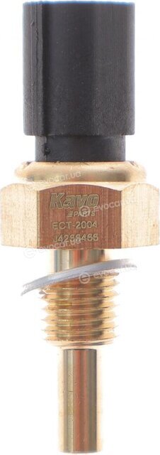 Kavo ECT-2004
