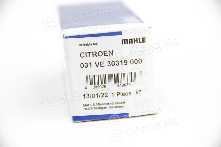 Mahle 031 VE 30319 000